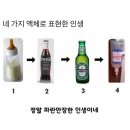 구스토타코 | [상수] 상수동 카페거리 상수역 힘숨찐 블루리본 15년 타코집 내돈내산 ‘구스토타코’