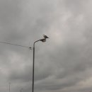 더조은수산 이미지