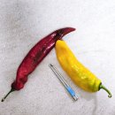 롯데슈퍼 방배2점 | 당도 높은 트리벨리 파프리카 일반 파프리카 맛 비교 맛있게 먹는 방법