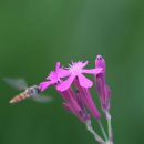 인천대공원 내 이미지