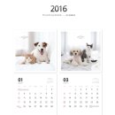 도그팡팡 이미지