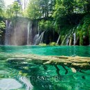 뉴스카이렌트카 이미지