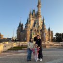 송도버스 주식회사 | 5살 아이랑 일본 공휴일에 도쿄디즈니랜드 다녀온 후기 + 신주쿠 이자카야 추천
