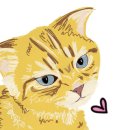 난니꼬양 이미지