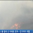 지리산청과 이미지