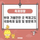 백제고등학교 | 부여 가볼만한 곳 백제고도 국화축제 일정 및 방문후기