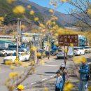 대평리 경로당 이미지