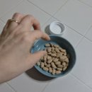 내 몸이 젊어지는 노화방지 스트레칭 | 🌙 하루의 끝을 더 깊고 편안하게, 프리미엄 NMN 멜라토닌 영양제 솔직 후기