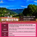 영월군청화장실 | [강원/영월] 처음임에도 완벽했던 영월촌캉스/붉은메밀꽃축제