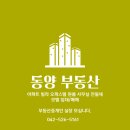 동양부동산중개 이미지