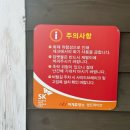 힐스파이브 관광펜션 | 경주 글램핑 캠프파이브 15호 - 보문단지 근처 숲속 캠핑장 독채 수영장 펜션 솔직후기 (내돈내산)