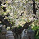 세심목장 이미지