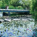 유리섬미술관 이미지