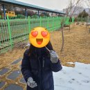 평택새우젓상회 네이버블로그