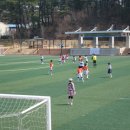 본찌야 Daum카페