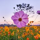 대덕대로(유성-6) 이미지