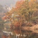 안양판교로 이미지