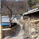 마비정농장 이미지