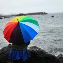 내도알작지 이미지