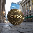 온도(ondo) 이미지