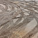 타이어사자 이미지