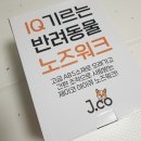 까까보개 - 달서구 계대동문로 11-1 | 『내돈내산』 제이코 노즈워크