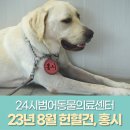 8월의홍시
