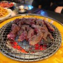 신마포갈매기까치