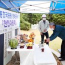 하동호국공원 이미지