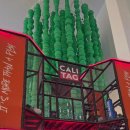 ACTION | 📍 송도 대형 키즈카페 캘리클럽 X 태그액션 (CALI CLUB, TAG ACTION) 내돈내산 방문 후기