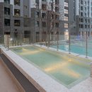 도미니클라바 이미지