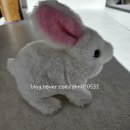 미니펫 | ⭐️키저스 움직이는 헬로 미니펫 작동 동물인형 내돈내산 후기⭐️