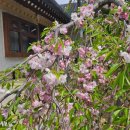 봄, 경주 🌸 / 경주 1박 2일 뚜벅이 여행🚶‍♀️