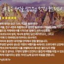 (주)한진 | 한진트래블 베니스 직항 돌로미티 전세기 한진관광 패키지 여행 기획전