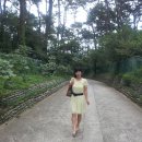 수련원길 이미지