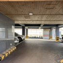 신효중앙로 이미지