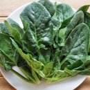 시금치 이미지