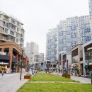 위례중앙초등학교 이미지