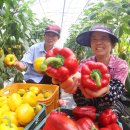 봉정농장 이미지