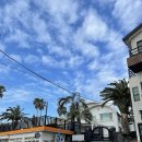 제주 장미여관 이미지