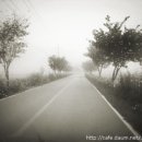 예천온천 이미지