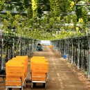 패밀리농장 이미지