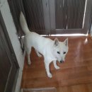 우리아이 Daum카페