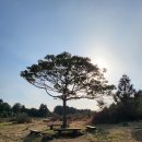 선이목장 이미지