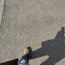 용인운전면허시험장 | 2종 보통 1종 보통 변경 방법, 7년 무사고 면허 갱신 후기 (용인운전면허시험장)