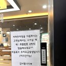 튤립스 에스테틱 티스토리