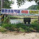 용문초등학교 이미지