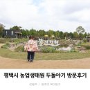 평택 푸드 도시락 | 평택 동탄 오산 아기랑 갈만한곳_무료입장, 평택농업생태원 방문후기