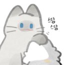 인천고양이분양 도레미캣 이미지