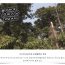 씨아이유 이미지